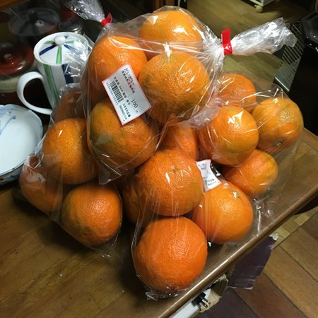 ダイダイ買ってきた！