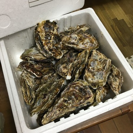 広島の牡蠣
