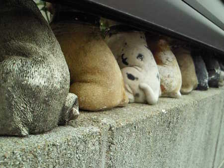 ＯＳHＩＲＩ  ^ ^