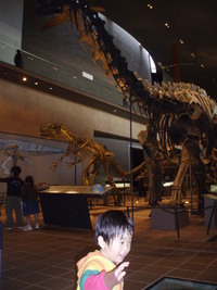パパといのちのたび（恐竜）博物館♪