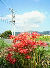 お彼岸