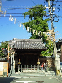 放生会　最終日