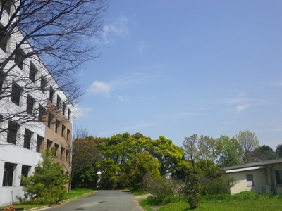 久しぶりの青空