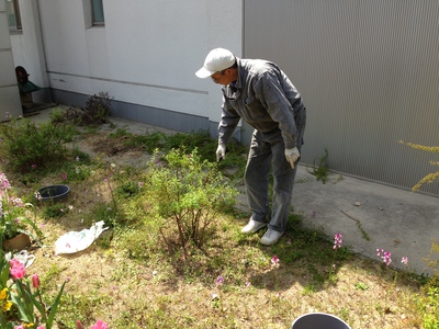 満開です