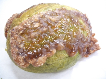 羊羹パン