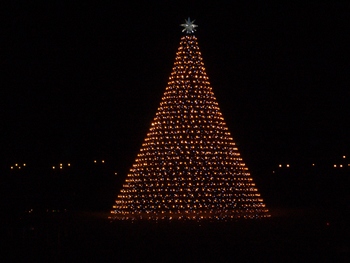 ディズニーシーのクリスマス