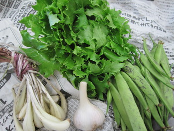 ななほし亭さんのお野菜