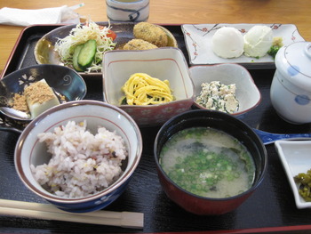 豆腐料理　木もれび