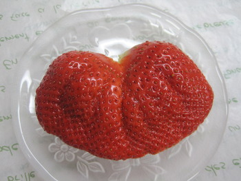 ハート❤苺