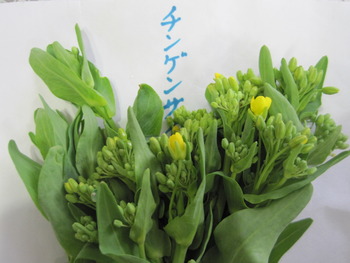 菜の花の色々♪
