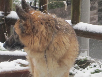 パンプキンパン