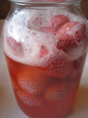 いちご酵母