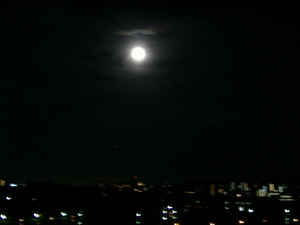 ひとくちメモ・・・満月、見えました。