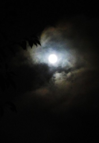 今宵は、水無月の満月～〇