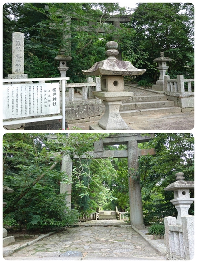 糸島、櫻井神社へ