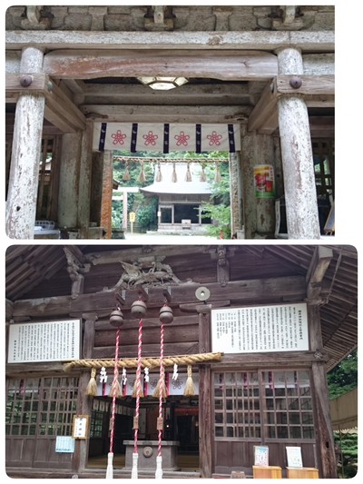 糸島、櫻井神社へ