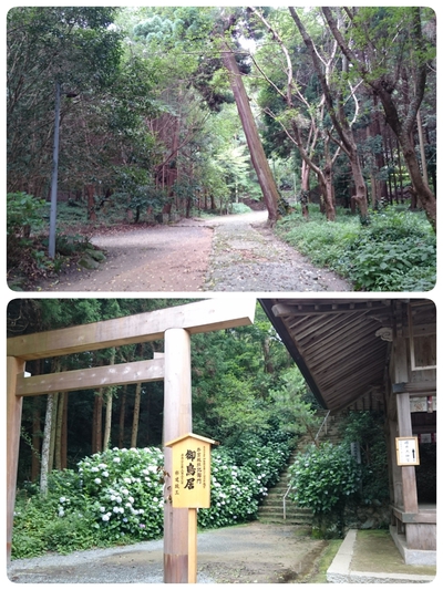 糸島、櫻井神社へ