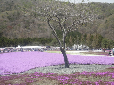 W・フジヤマ♥