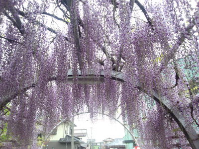 季節もの（*^_^*）