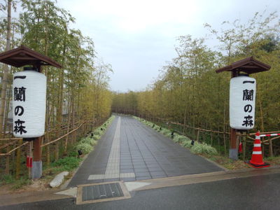 糸島、一蘭の森