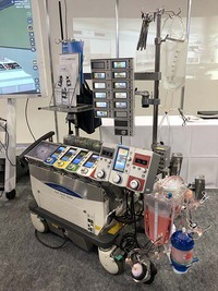 新型コロナウイルスから生還するためには 2020/03/31 04:17:18