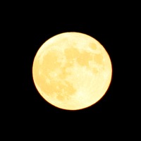 「中秋の名月」は金箔の月をお月見する！？