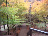 世界遺産を歩く・・・