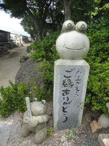 かえるがたくさん（＾－＾）