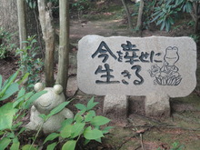 かえるがたくさん（＾－＾）