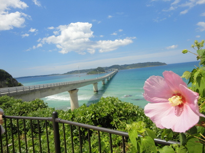 この景色が見れて～