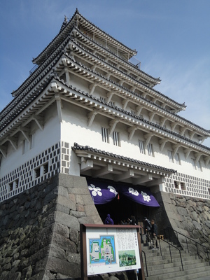 お城＆桜