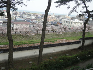 お城＆桜