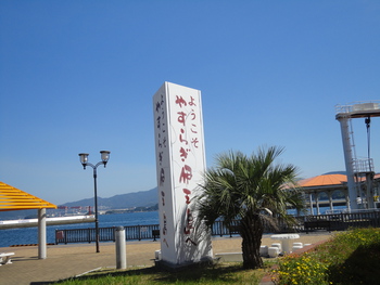 海と景色がきれい