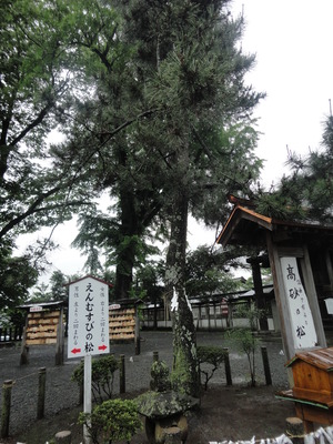 熊本でお願い？（＾－＾）
