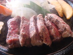お休み(*^_^*)
