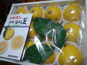 フルーツ来たーーー（＾－＾）
