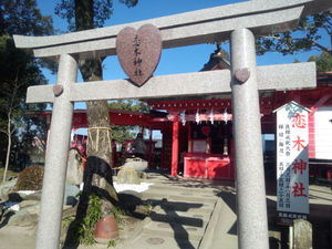 良縁・恋木イベント中(^^♪