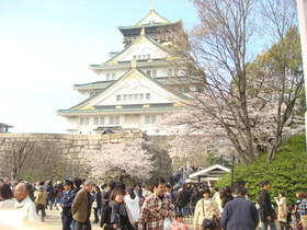 お城と桜