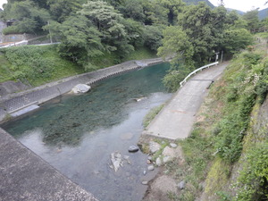 光るものを見た♪