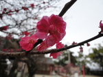 神頼み？