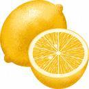 レモン１個分のビタミンＣって？解答です。