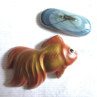 金魚・アメンボ