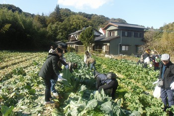 イオン×カゴメ食育体験と観光満悦バスツアー九州コース野菜収穫体験