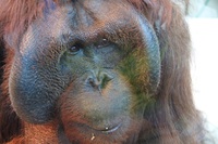 福岡市動植物園エントランス