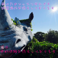 本日は、雨のため17時からの17時50分のレッスンは中止となります・・・|ω・`)
