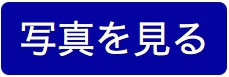 【写真特集】[県リーグ］折尾愛真は県リーグ初勝利(20枚)