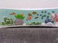 熱帯魚　フィギュア