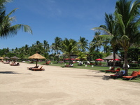 新婚旅行　ＩＮ　ＢＡＬＩ