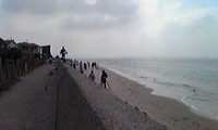 ラブアースクリーンアップ