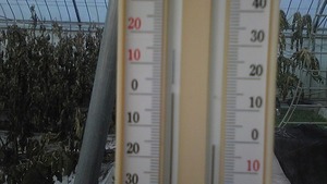 今朝の最低−4℃で……